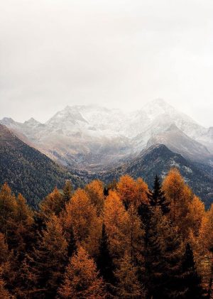 Mountains with fall trees
